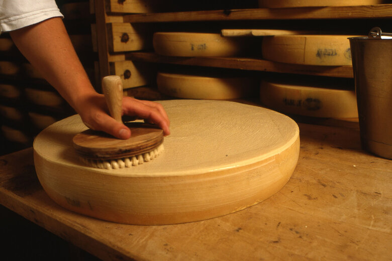 Käser der gerade einen großen Laib Käse mit einer Käsebürste schmiert