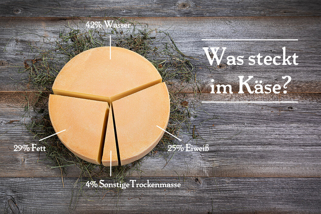 Aufgeschnittener Laib Käse mit der Einteilung, was im Käse steckt und was dieser enthält