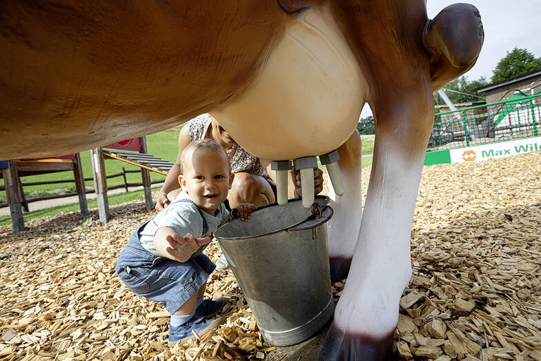 Kuh melken auf dem Spielplatz