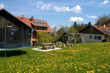 Ferienhof mit einem gemütlichen Garten mit frisch blühendem Löwenzahn und einer großer Schaukel im Garten