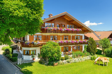 wunderschönes Landhaus mit großem Garten und kleinen Haflingerpferden