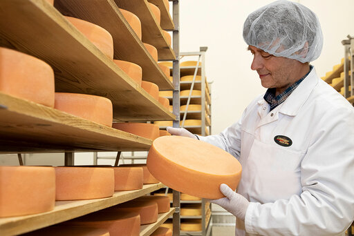Modernes Käsereifelager in Steingaden mit Käsereifachmann der einen Laib Käse in der Hand hat
