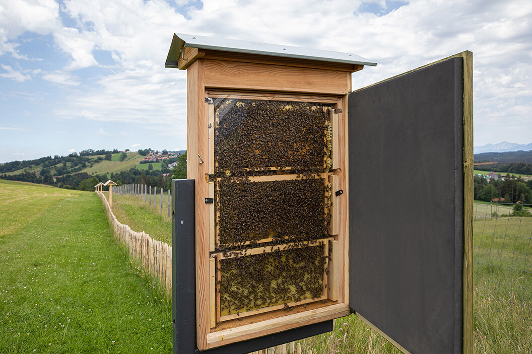 Ansichtshaus in dem man Bienen beobachten kann in traumhafter Lage mit wunderbarem Blick in die Alpen