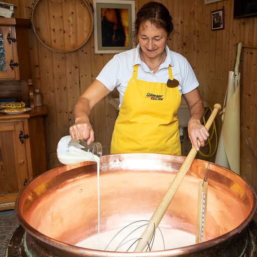 Milch wird beim Schaukäsen in einem großen Kupferkessel erhitzen und ständig umgerührt