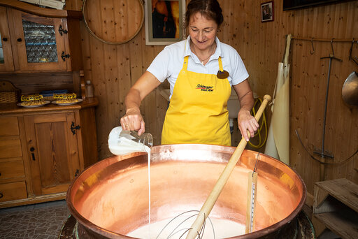 Käserin stellt in einem großem Kupferkessel Käse her und gibt Lab bei und rührt dabei mit einer großen Käseharfe um um einen Käsebruch zu erhalten