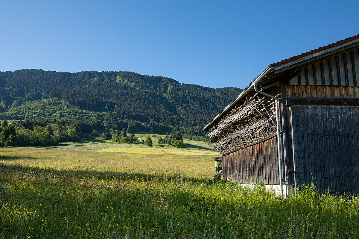 urige Berghütte in saftiger Wiese mit einer schönen Berglandschaft im Hintergrund und strahlend blauem Himmel